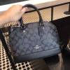 coach ladies handbag