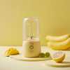 mini juicer