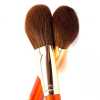 10piece exquisite makeup brush set