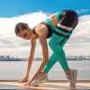 high waits ladies sport pants
