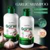 3pcs 300ml SADOER Garlic Cleansing Mite Soothing Shampoo