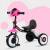 pink q1