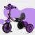 purple q1