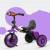 purple+lamp