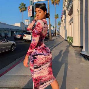 New Women's Print Long Sleeve Round Neck Fashion Dress