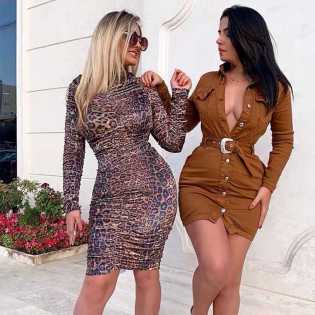 leopard-print-celebrity-long-sleeve-bodice-pleated-dress