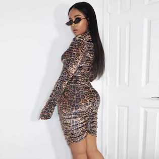 leopard-print-celebrity-long-sleeve-bodice-pleated-dress