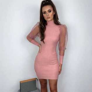 sexy-mesh-sheath-dress-for-women