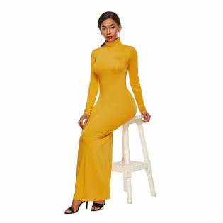women's-sexy-turtle neck-long-sleeve-dress