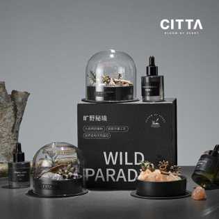 CITTA Western Moss Wilderness Secret Aromatherapy gift box bedroom diffuser