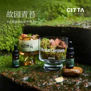 CITTA Native Garden Moss series fire free aromatherapy gift box rock moss fragrance stone home decor