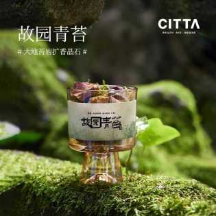 CITTA Earth Rock Moss Aromatherapy gift box with diffuser stone household indoor long-lasting cryst