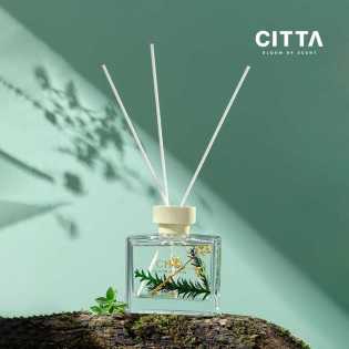 CITTA Nishi Matsuno Aromatherapy Indoor Long-lasting Home room Decoration Fragrance CITTA Nishi Matsuno Aromatherapy Indoor Long-lasting Home room Decoration Fragrance