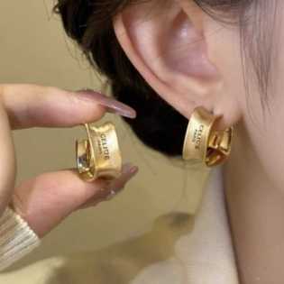 S925 light luxury design geometric brushed letter earrings women's