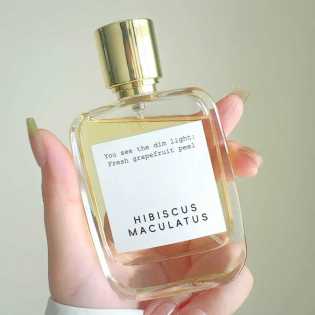 50ml Hibiscus Macularus