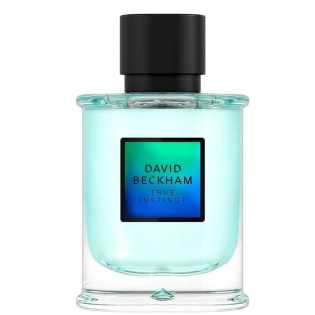 David Beckham true instinct 75ml