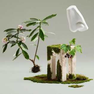 Penhaligons Dephne Bouquet Unisex Perfume EDP 100ml