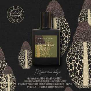 Hibiscus floating key / mysterious abyss