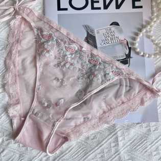 6pcs ladies lace mesh underwear