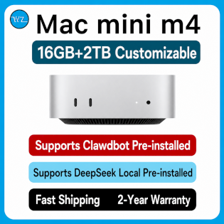 Apple Mac Mini M4 16+2TB expander supports openclaw and DeepSeek pre-installed