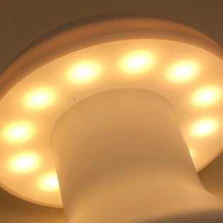 USB Mushroom Night Light